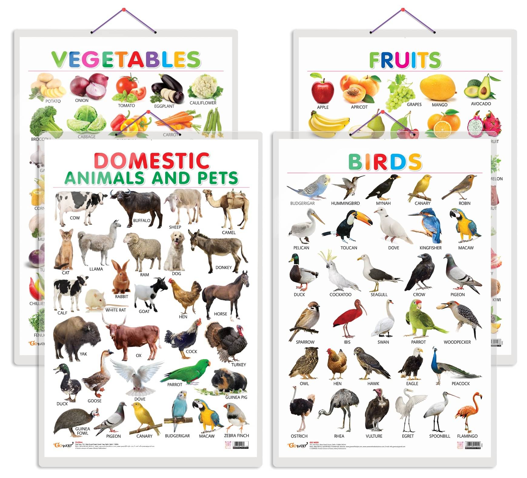     			Set of 4 Fruits, Vegetables, Domestic Animals and Pets and Birds Early Learning Educational Charts for Kids | 20"X30" inch |Non-Tearable and Waterproof | Double Sided Laminated | Perfect for Homeschooling, Kindergarten and Nursery Students