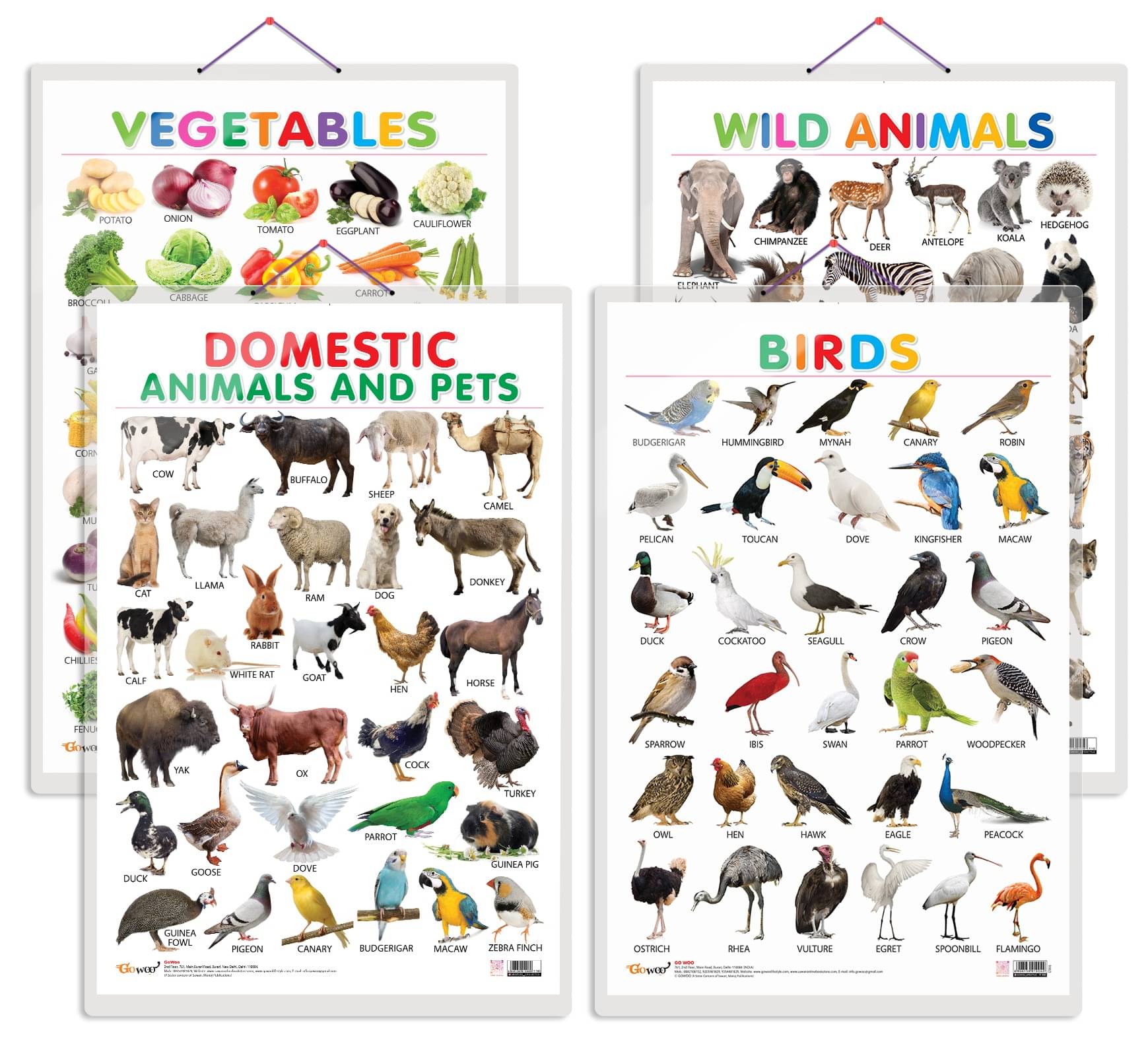     			Set of 4 Vegetables, Domestic Animals and Pets, Wild Animals and Birds Early Learning Educational Charts for Kids | 20"X30" inch |Non-Tearable and Waterproof | Double Sided Laminated | Perfect for Homeschooling, Kindergarten and Nursery Students