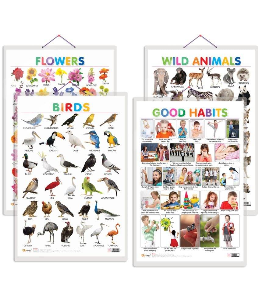     			Set of 4 Wild Animals, Birds, Flowers and Good Habits Early Learning Educational Charts for Kids | 20"X30" inch |Non-Tearable and Waterproof | Double Sided Laminated | Perfect for Homeschooling, Kindergarten and Nursery Students