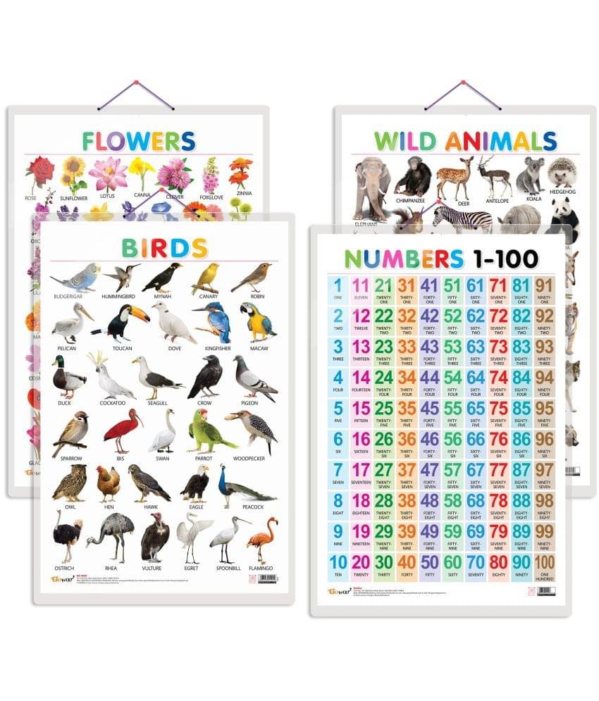 Set of 4 Wild Animals, Birds, Flowers and Numbers 1-100 Early Learning Educational Charts for Kids | 20"X30" inch |Non-Tearable and Waterproof | Double Sided Laminated | Perfect for Homeschooling, Kindergarten and Nursery Students Set of 4 Wild Animals, Birds, Flowers and Numbers 1-100 Early Learning Educational Charts for Kids | 20"X30" inch |Non-Tearable and Waterproof | Double Sided Laminated | Perfect for Homeschooling, Kindergarten and Nursery Students