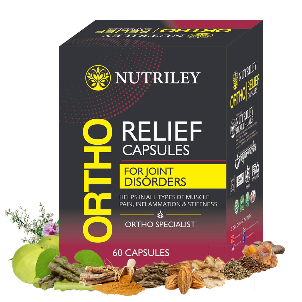 Nutriley Orthosure Capsule, Joint Pain Relief, Orthocare, Back Pain Relief, 60 Capsules Nutriley Orthosure Capsule, Joint Pain Relief, Orthocare, Back Pain Relief, 60 Capsules