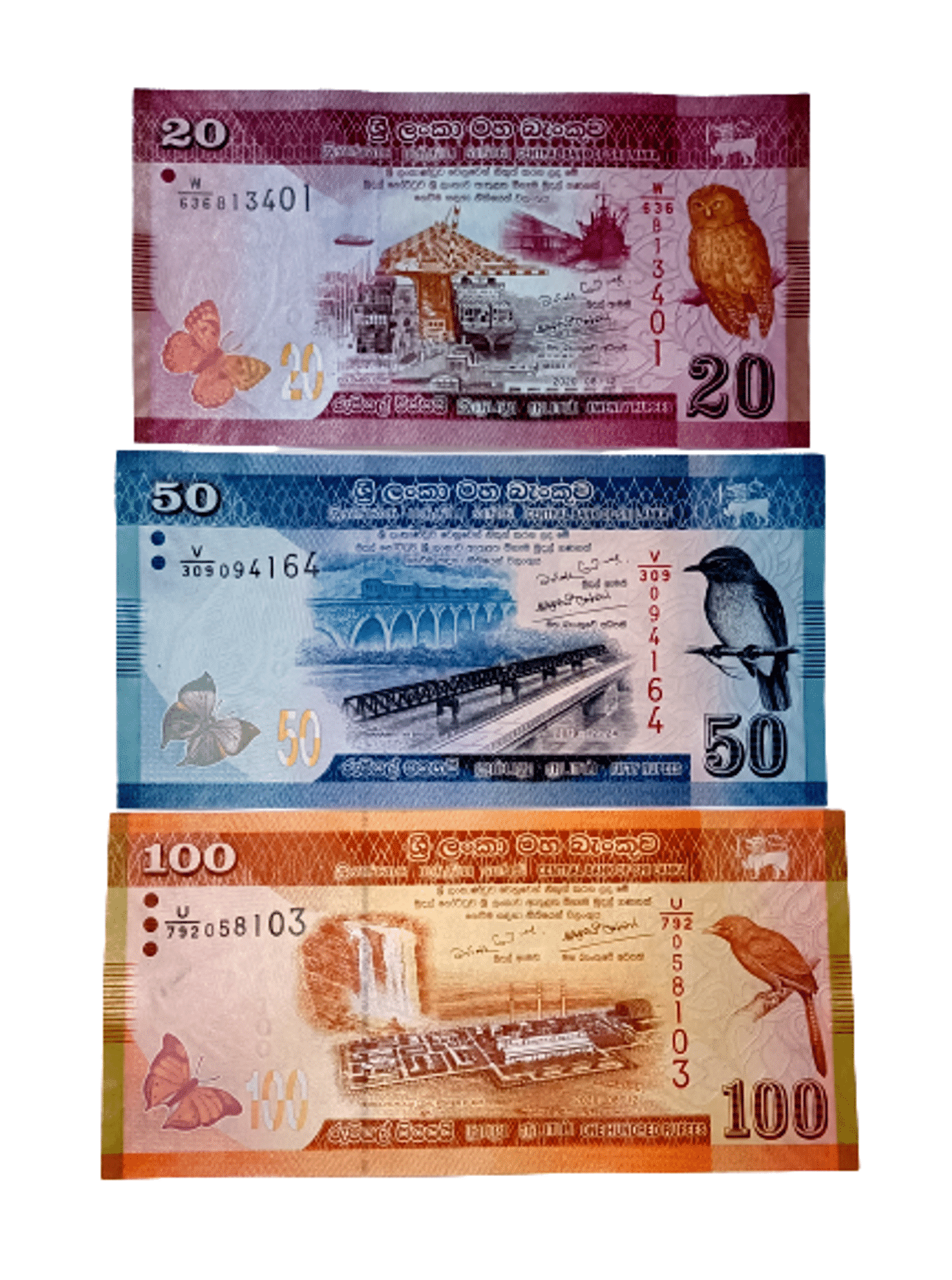 SUPER ANTIQUES GALLERY - SRILANKA 20,50,100 RS NOTE SET 3 Paper currency & Bank notes SUPER ANTIQUES GALLERY - SRILANKA 20,50,100 RS NOTE SET 3 Paper currency & Bank notes