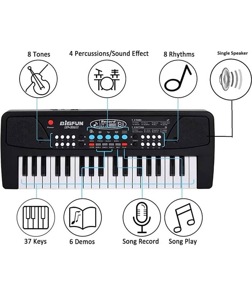 TOY KINGDOM Portable Electronic Piano Keyboards For Kids & Adult with Microphone Musical Toys