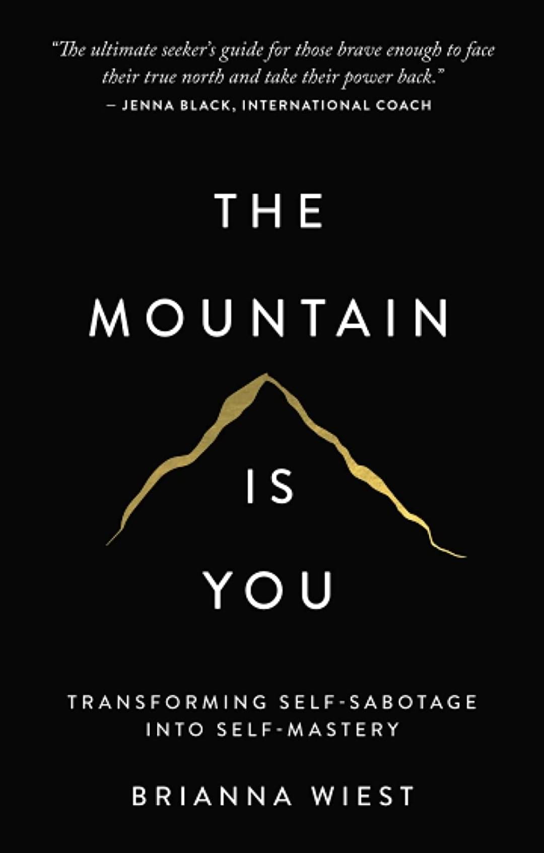     			The Mountain Is You: Transforming Self-Sabotage Into Self-Mastery