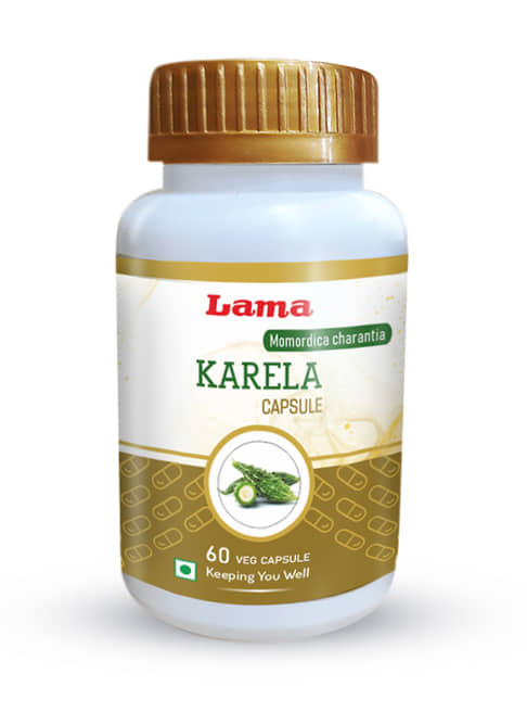 Lama Karela 60 Veg Capsules Capsule 1 No.S Pack of 1