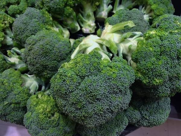 HN organic seed - Broccoli Vegetable ( 50 Seeds )