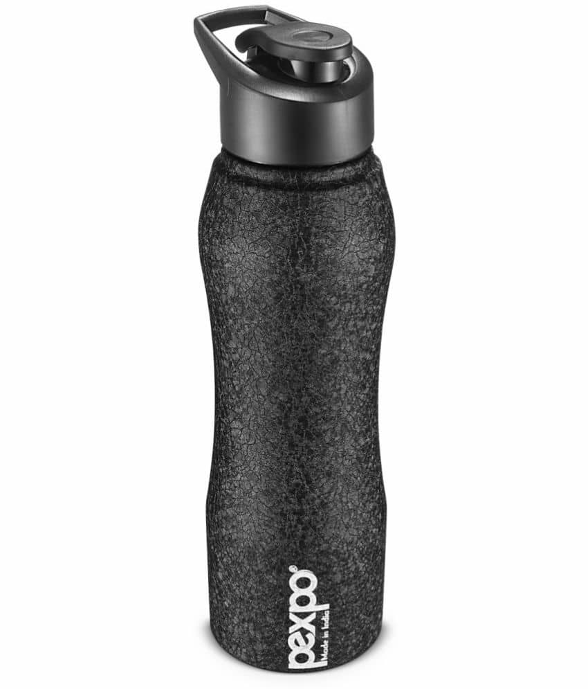 PEXPO 750 ml Stainless Steel Sports Water Bottle (Set of 1, Silver, Bistro)