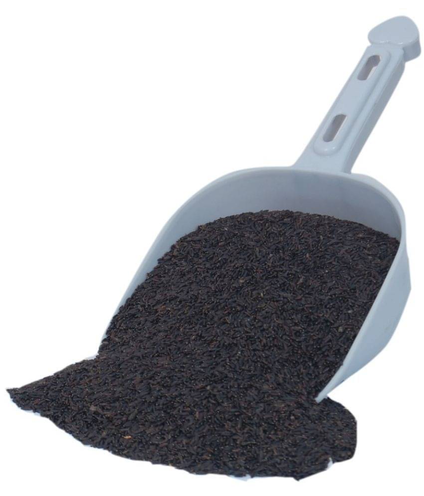 My God Gift MyGodGift Tukh Malanga Beej | Tukhmaria Seed | Balanga (200 g) 200 gm My God Gift MyGodGift Tukh Malanga Beej | Tukhmaria Seed | Balanga (200 g) 200 gm