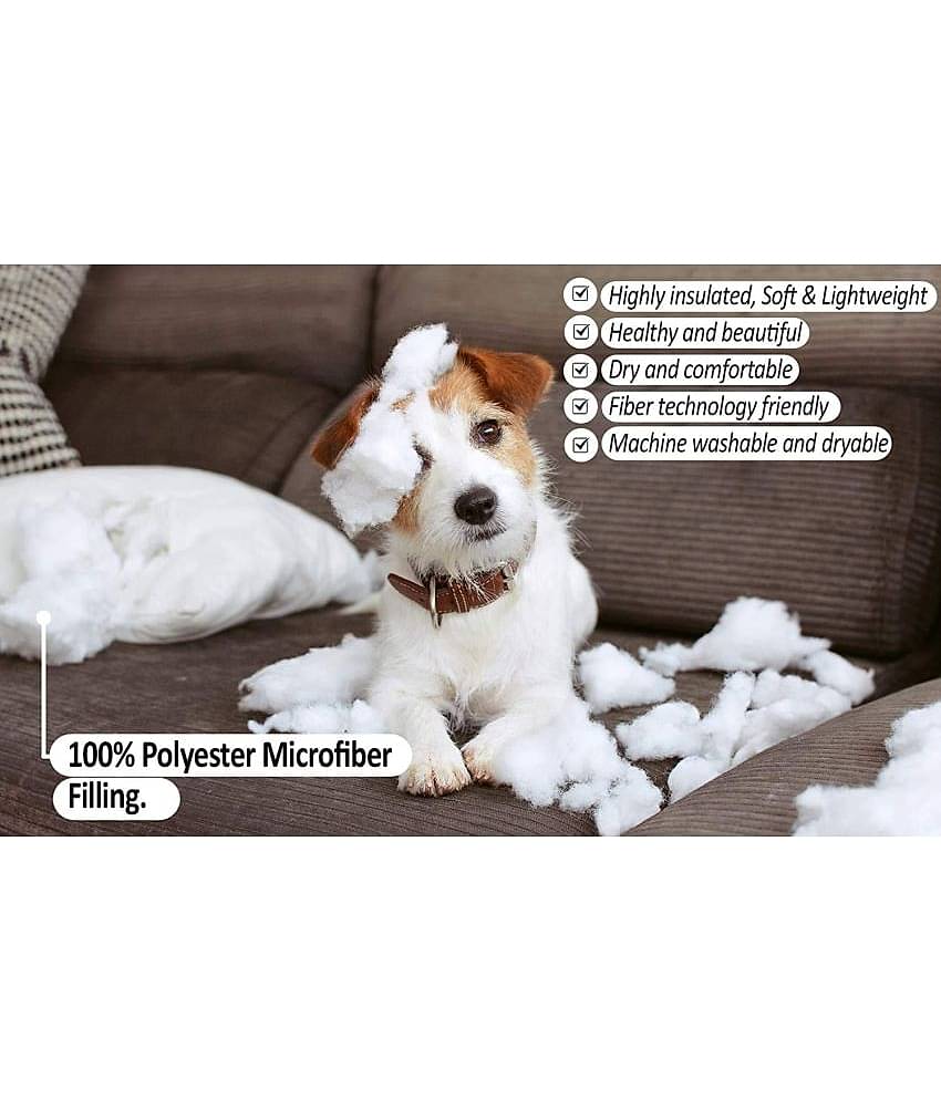 SUNTAP Set of 5 White Polyester Filled Cushion