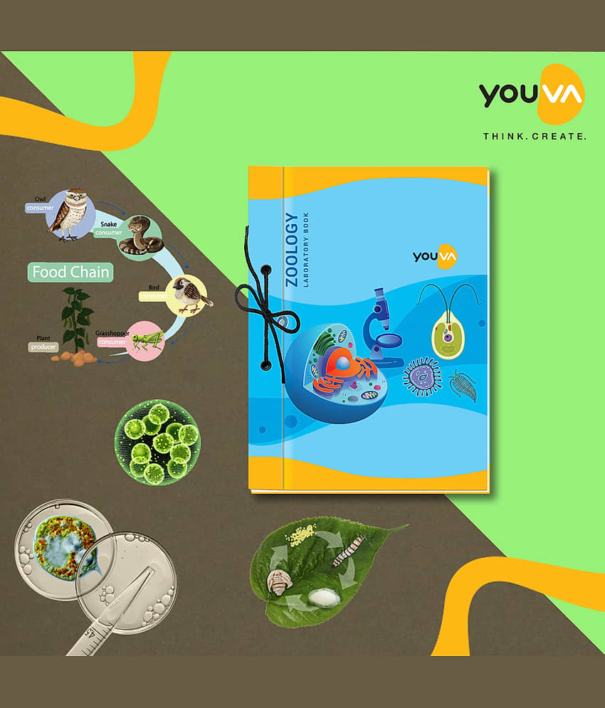 Navneet Youva - Plain Hardcover Executives Notebooks ( Pack of 3 ) - Stationery | Buy online on ZillyBuy