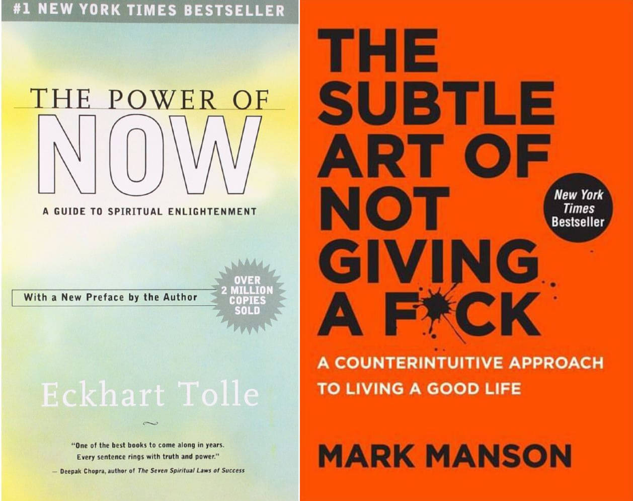 The Power of Now +The Subtle Art Of Not Giving A F*Ck (English, Paperback,) The Power of Now +The Subtle Art Of Not Giving A F*Ck (English, Paperback,)