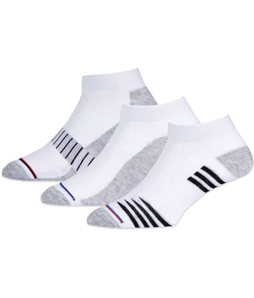 RC. ROYAL CLASS - Cotton Blend Men's Striped White Ankle Length Socks ( Pack of 3 ) RC. ROYAL CLASS - Cotton Blend Men's Striped White Ankle Length Socks ( Pack of 3 )