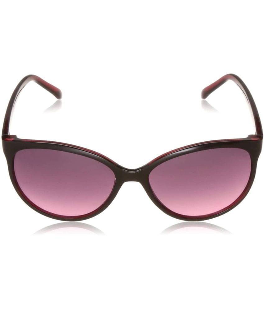     			Roadies - Black Cat Eye Sunglasses ( Pack of 1 )