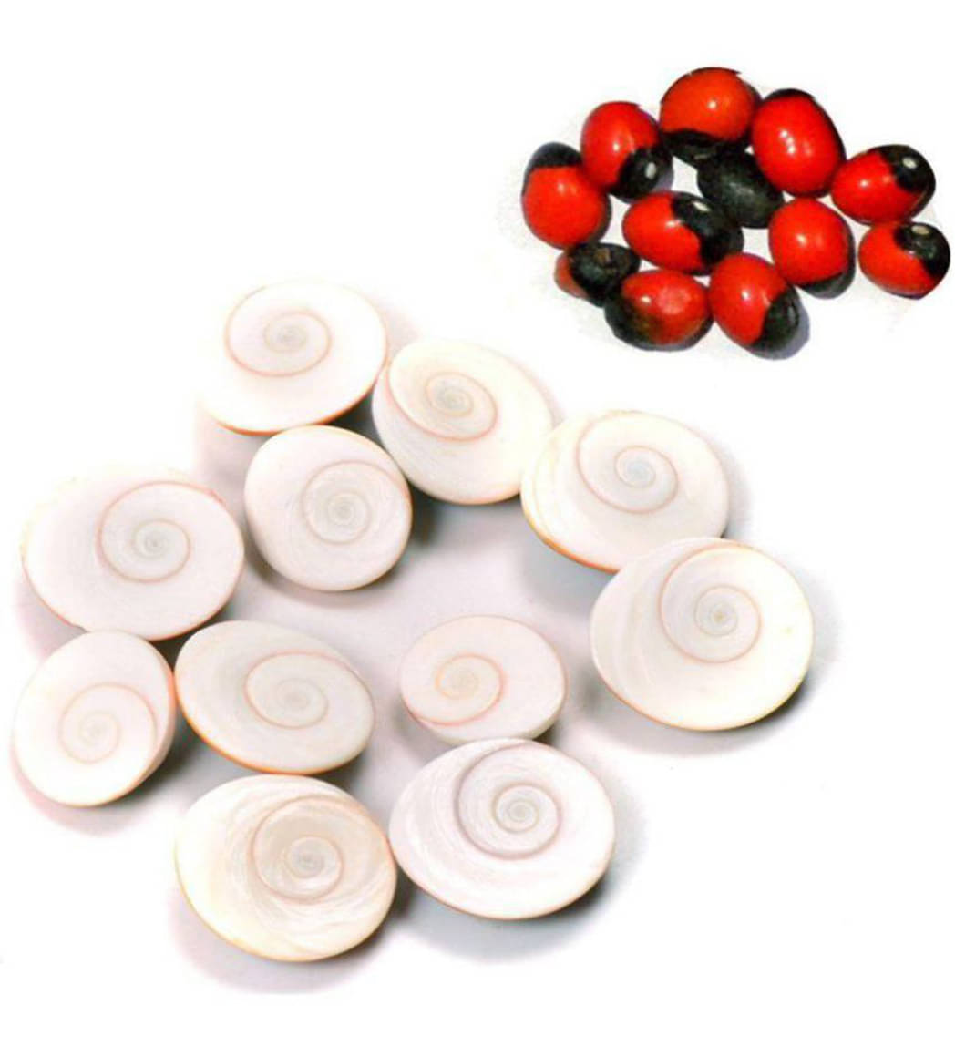 Coral Gomti Chakra - Pack of 1 Coral Gomti Chakra - Pack of 1