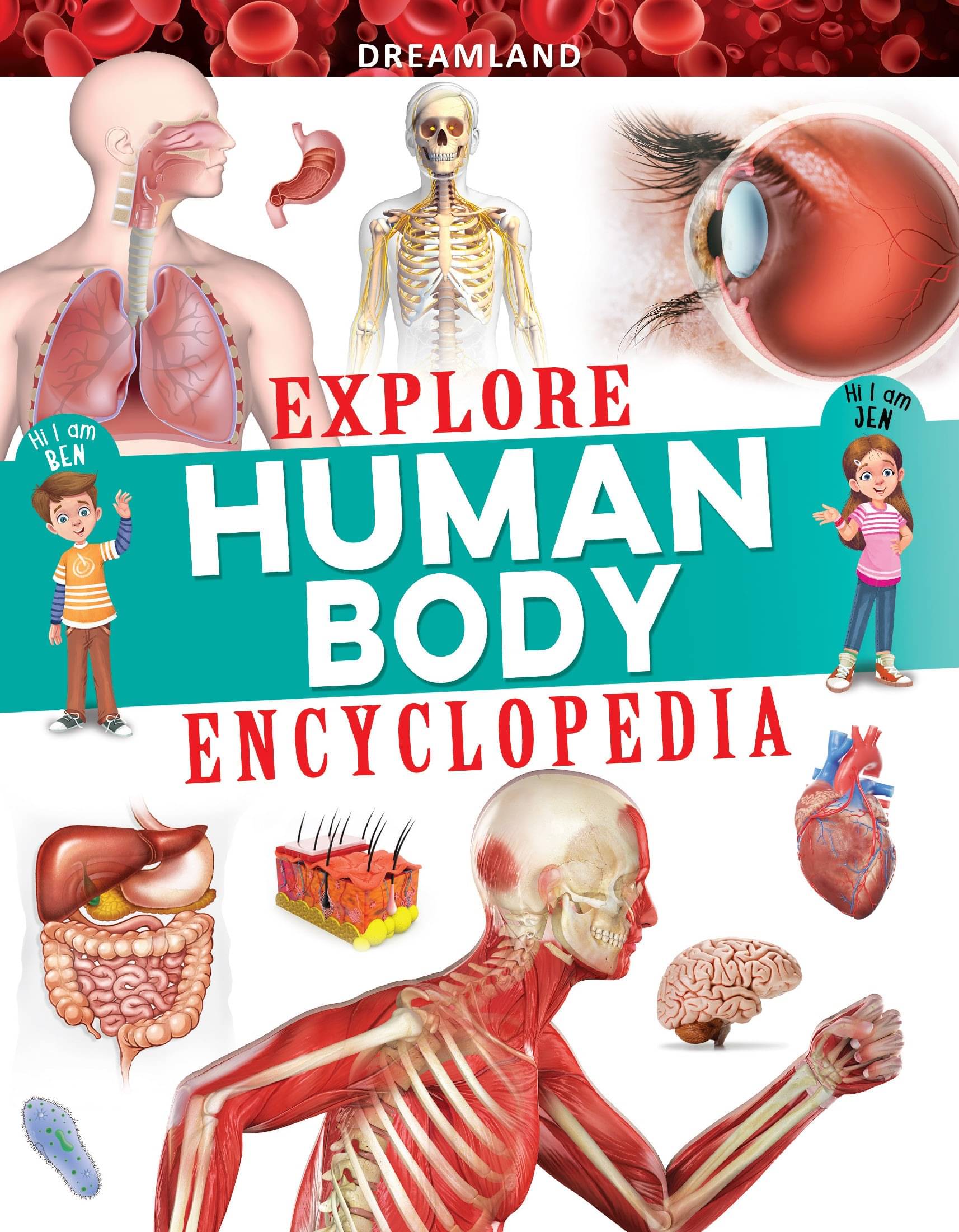     			Explore Human Body Encyclopedia