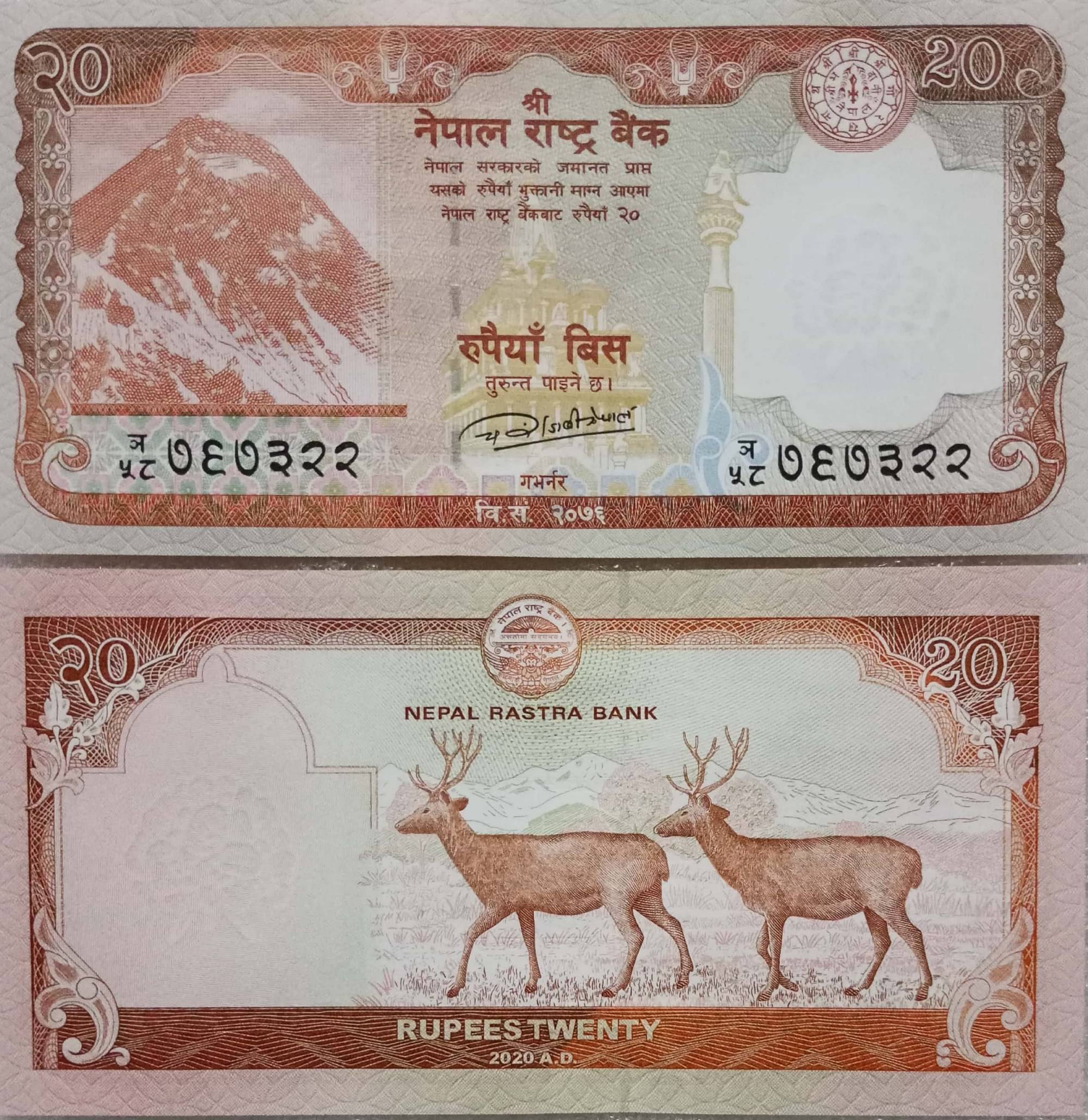     			Hop n Shop - Nepal 20 Rupees Top Grade Gem UNC 1 Paper currency & Bank notes