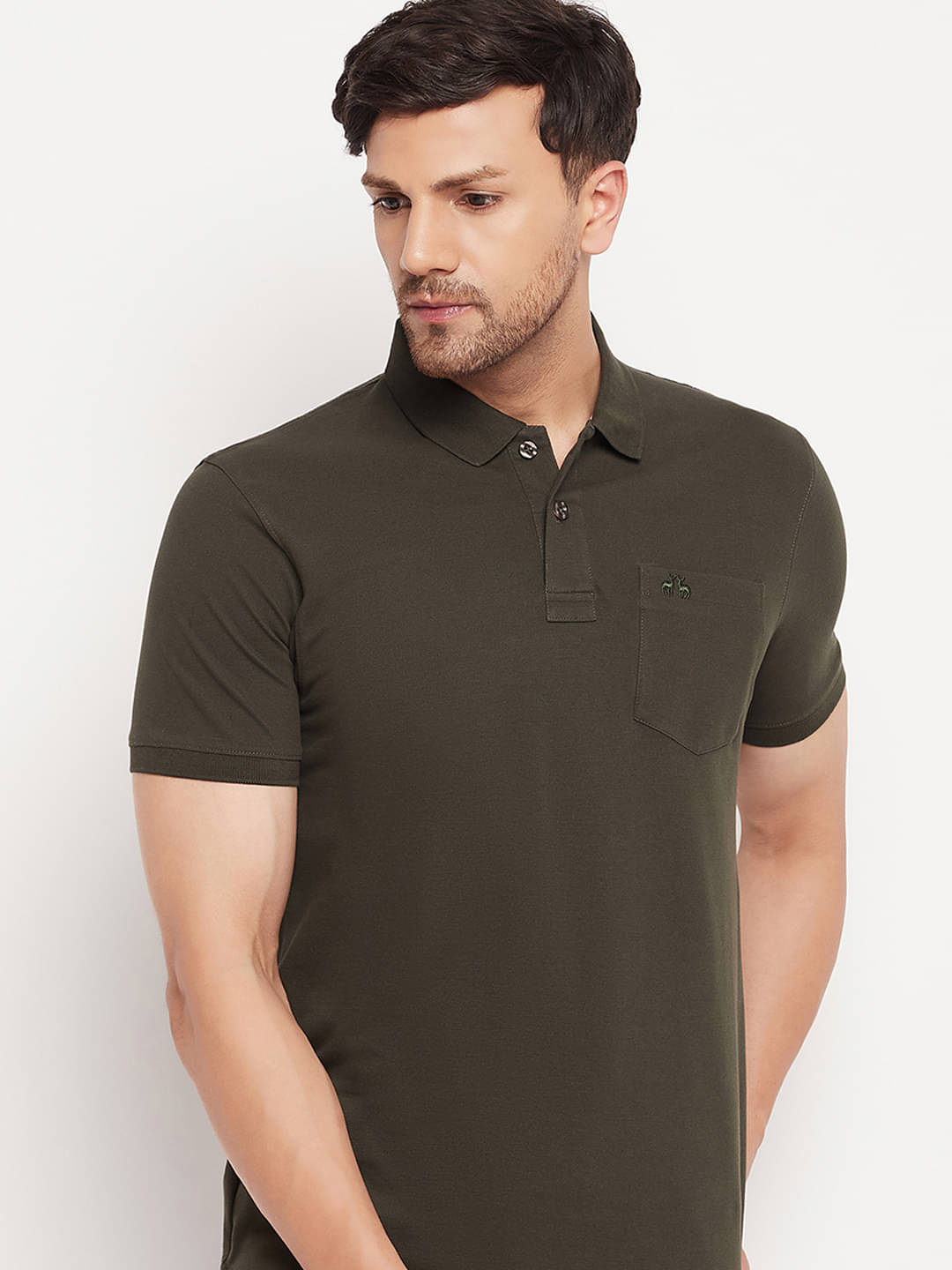     			98 Degree North Pack of 1 Cotton Regular Fit Solid Half Sleeves Men's Polo T Shirt ( Olive )