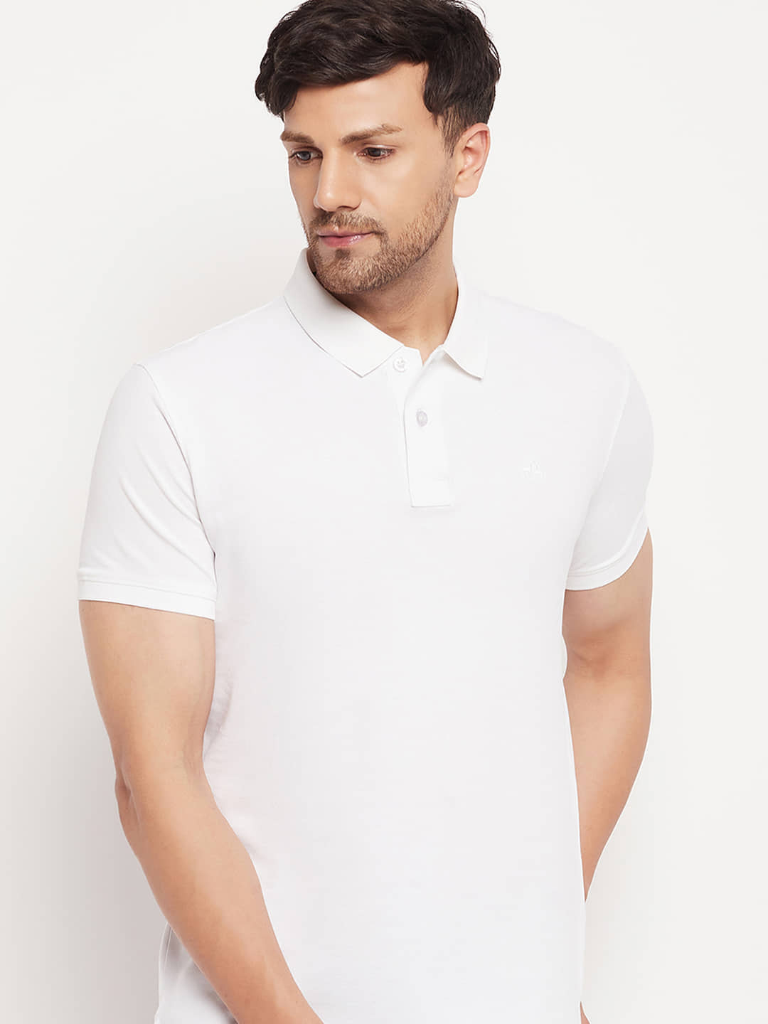 98 Degree North Pack of 1 Cotton Regular Fit Solid Half Sleeves Men's Polo T Shirt ( Olive )