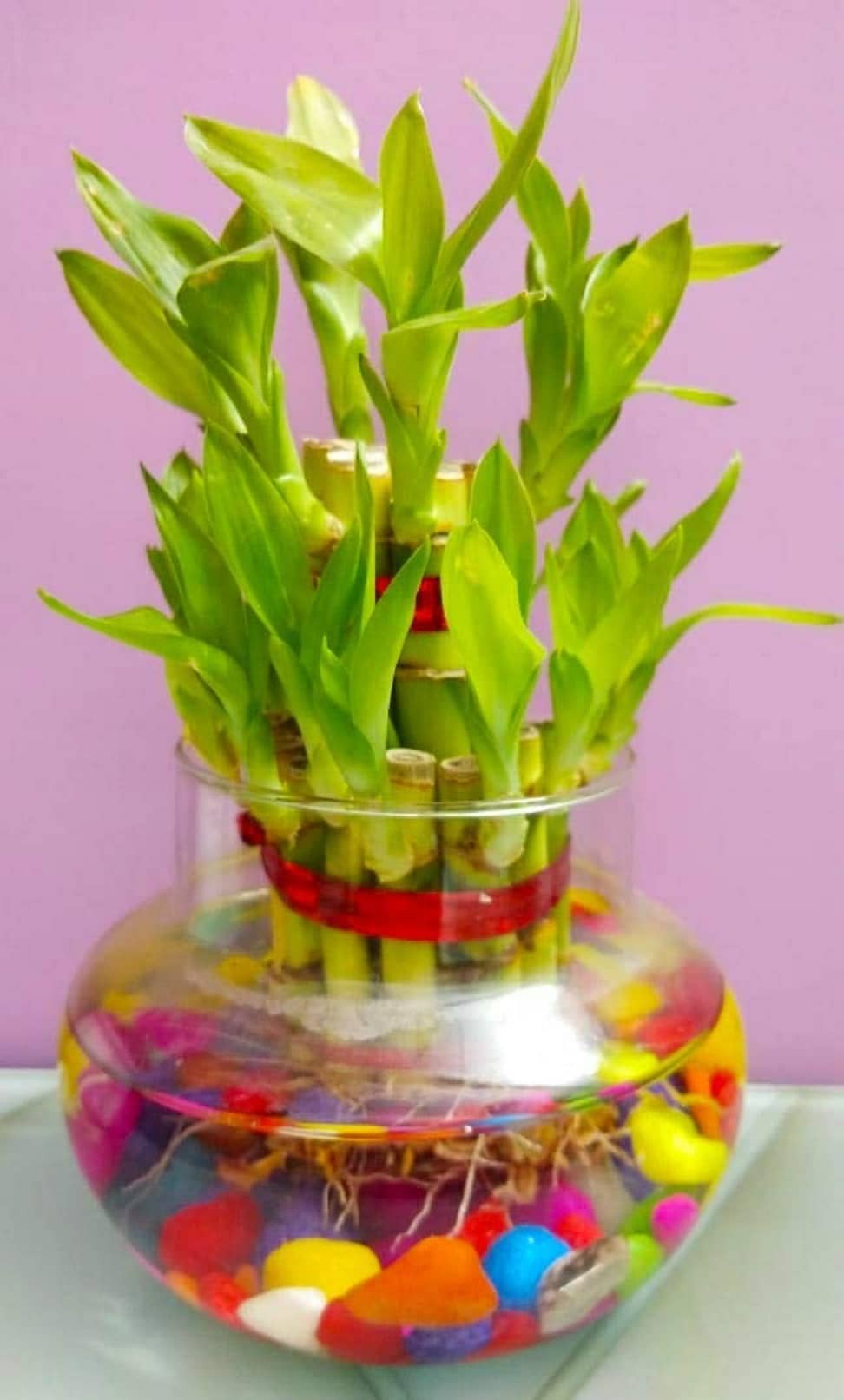 Green plant indoor - Green Wild Artificial Flowers With Pot ( Pack of 1 )
