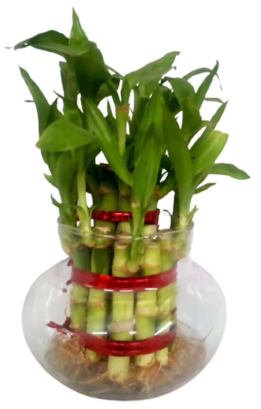 Green plant indoor - Green Wild Artificial Flowers With Pot ( Pack of 1 )