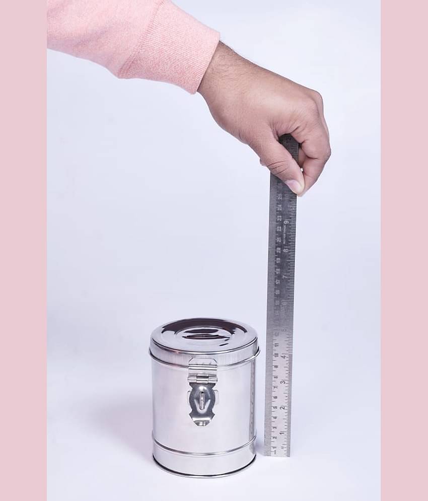 Alphonso - Stainless Steel Silver Piggy Bank ( Pack of 1 )