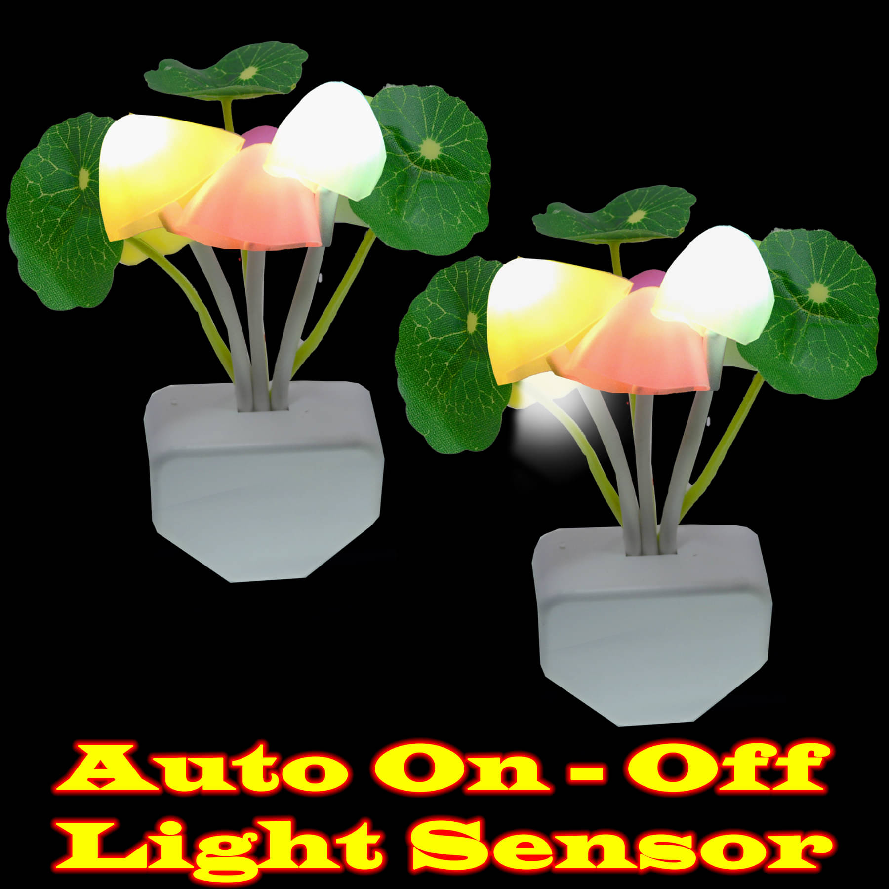     			JMALL - Multicolor Night Lamp ( Pack of 2 )