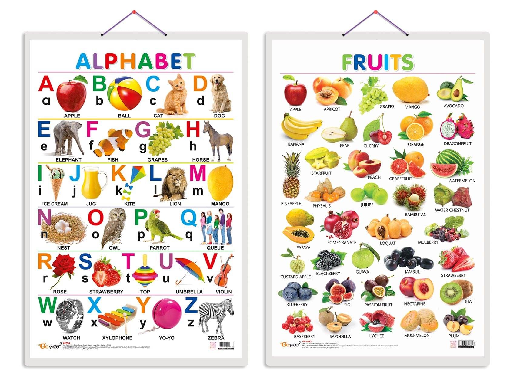 Set of 2 Alphabet and Fruits Early Learning Educational Charts for Kids | 20"X30" inch |Non-Tearable and Waterproof | Double Sided Laminated | Perfect for Homeschooling, Kindergarten and Nursery Students Set of 2 Alphabet and Fruits Early Learning Educational Charts for Kids | 20"X30" inch |Non-Tearable and Waterproof | Double Sided Laminated | Perfect for Homeschooling, Kindergarten and Nursery Students