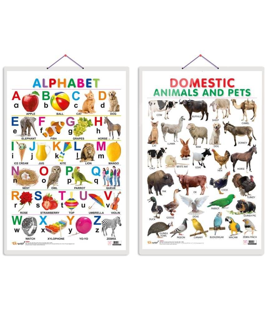 Set of 2 (Alphabet and (Domestic Animals and Pets) Early Learning Educational Charts for Kids | 20"X30" inch |Non-Tearable and Waterproof | Double Sided Laminated | Perfect for Homeschooling, Kindergarten and Nursery Students Set of 2 (Alphabet and (Domestic Animals and Pets) Early Learning Educational Charts for Kids | 20"X30" inch |Non-Tearable and Waterproof | Double Sided Laminated | Perfect for Homeschooling, Kindergarten and Nursery Students