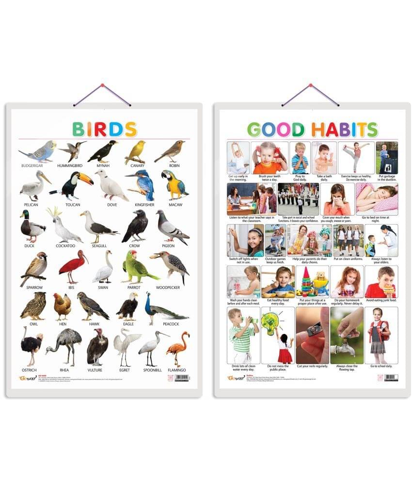 Set of 2 Birds and Good Habits Early Learning Educational Charts for Kids | 20"X30" inch |Non-Tearable and Waterproof | Double Sided Laminated | Perfect for Homeschooling, Kindergarten and Nursery Students Set of 2 Birds and Good Habits Early Learning Educational Charts for Kids | 20"X30" inch |Non-Tearable and Waterproof | Double Sided Laminated | Perfect for Homeschooling, Kindergarten and Nursery Students