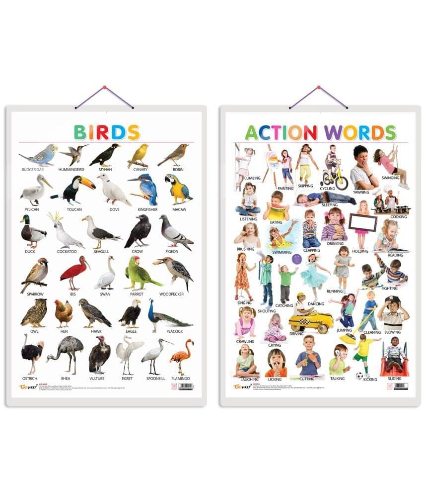 Set of 2 Birds and Action Words Early Learning Educational Charts for Kids | 20"X30" inch |Non-Tearable and Waterproof | Double Sided Laminated | Perfect for Homeschooling, Kindergarten and Nursery Students Set of 2 Birds and Action Words Early Learning Educational Charts for Kids | 20"X30" inch |Non-Tearable and Waterproof | Double Sided Laminated | Perfect for Homeschooling, Kindergarten and Nursery Students