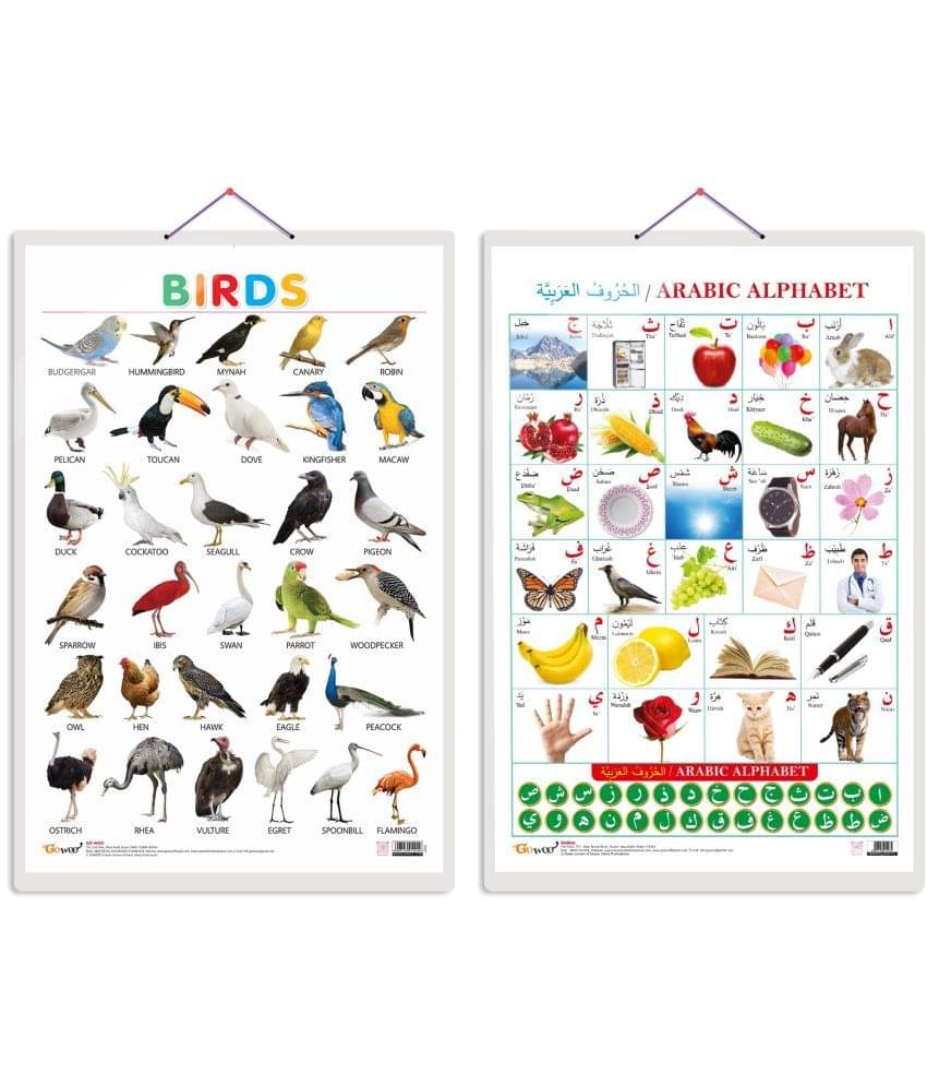 Set of 2 Birds and Arabic Alphabet (Arabic) Early Learning Educational Charts for Kids | 20"X30" inch |Non-Tearable and Waterproof | Double Sided Laminated | Perfect for Homeschooling, Kindergarten and Nursery Students Set of 2 Birds and Arabic Alphabet (Arabic) Early Learning Educational Charts for Kids | 20"X30" inch |Non-Tearable and Waterproof | Double Sided Laminated | Perfect for Homeschooling, Kindergarten and Nursery Students