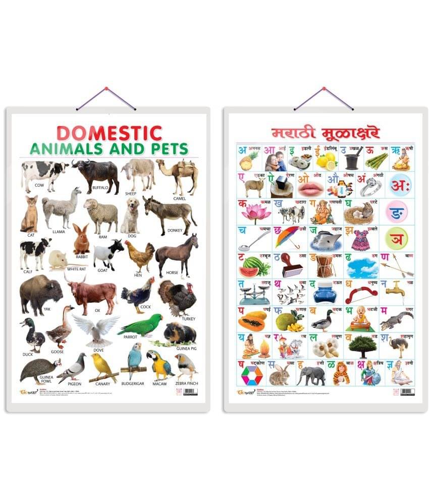 Set of 2 Domestic Animals and Pets and Marathi Varnamala Early Learning Educational Charts for Kids | 20"X30" inch |Non-Tearable and Waterproof | Double Sided Laminated | Perfect for Homeschooling, Kindergarten and Nursery Students Set of 2 Domestic Animals and Pets and Marathi Varnamala Early Learning Educational Charts for Kids | 20"X30" inch |Non-Tearable and Waterproof | Double Sided Laminated | Perfect for Homeschooling, Kindergarten and Nursery Students