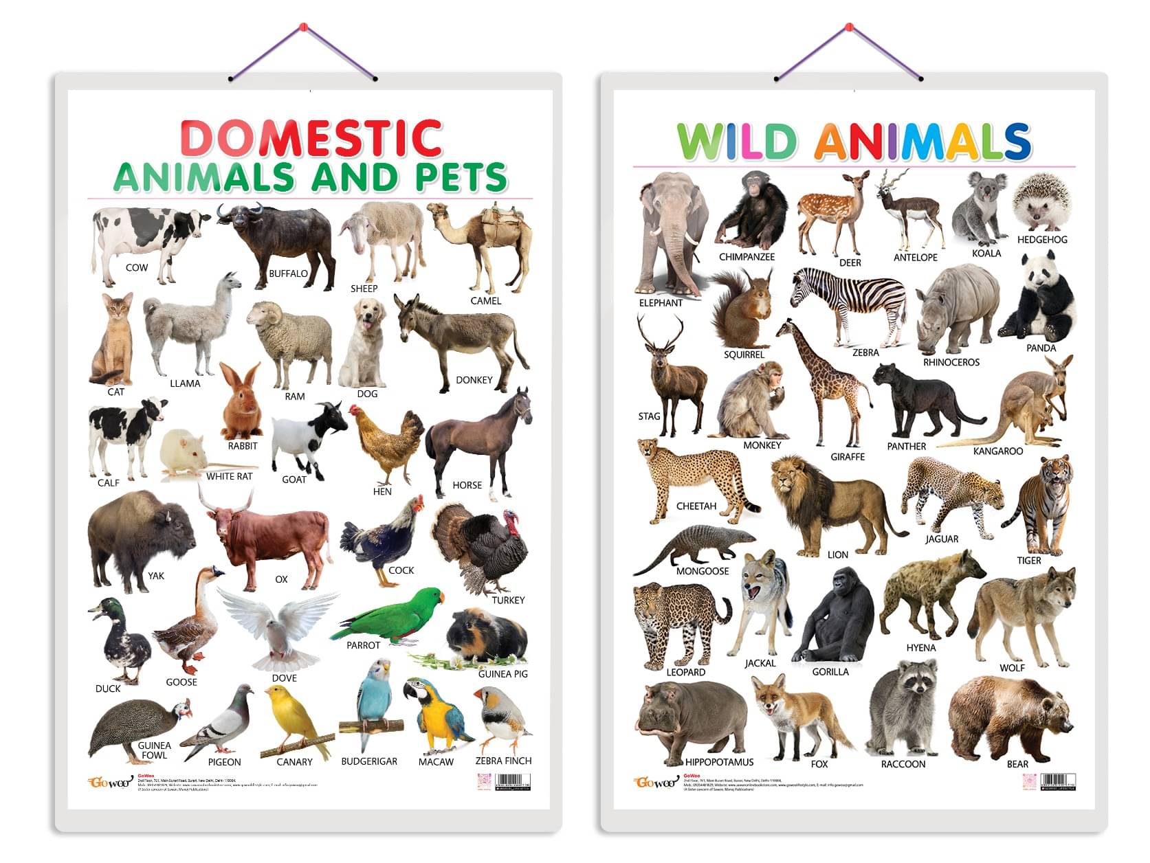 Set of 2 Domestic Animals and Pets and Wild Animals Early Learning Educational Charts for Kids | 20"X30" inch |Non-Tearable and Waterproof | Double Sided Laminated | Perfect for Homeschooling, Kindergarten and Nursery Students Set of 2 Domestic Animals and Pets and Wild Animals Early Learning Educational Charts for Kids | 20"X30" inch |Non-Tearable and Waterproof | Double Sided Laminated | Perfect for Homeschooling, Kindergarten and Nursery Students