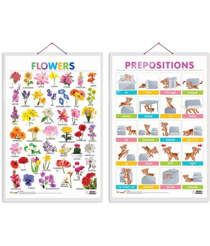 Set of 2 Flowers and PREPOSITIONS Early Learning Educational Charts for Kids | 20"X30" inch |Non-Tearable and Waterproof | Double Sided Laminated | Perfect for Homeschooling, Kindergarten and Nursery Students Set of 2 Flowers and PREPOSITIONS Early Learning Educational Charts for Kids | 20"X30" inch |Non-Tearable and Waterproof | Double Sided Laminated | Perfect for Homeschooling, Kindergarten and Nursery Students
