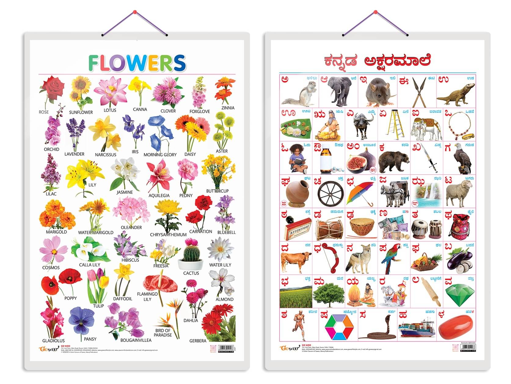 Set of 2 Flowers and Kannada Alphabet Early Learning Educational Charts for Kids | 20"X30" inch |Non-Tearable and Waterproof | Double Sided Laminated | Perfect for Homeschooling, Kindergarten and Nursery Students Set of 2 Flowers and Kannada Alphabet Early Learning Educational Charts for Kids | 20"X30" inch |Non-Tearable and Waterproof | Double Sided Laminated | Perfect for Homeschooling, Kindergarten and Nursery Students