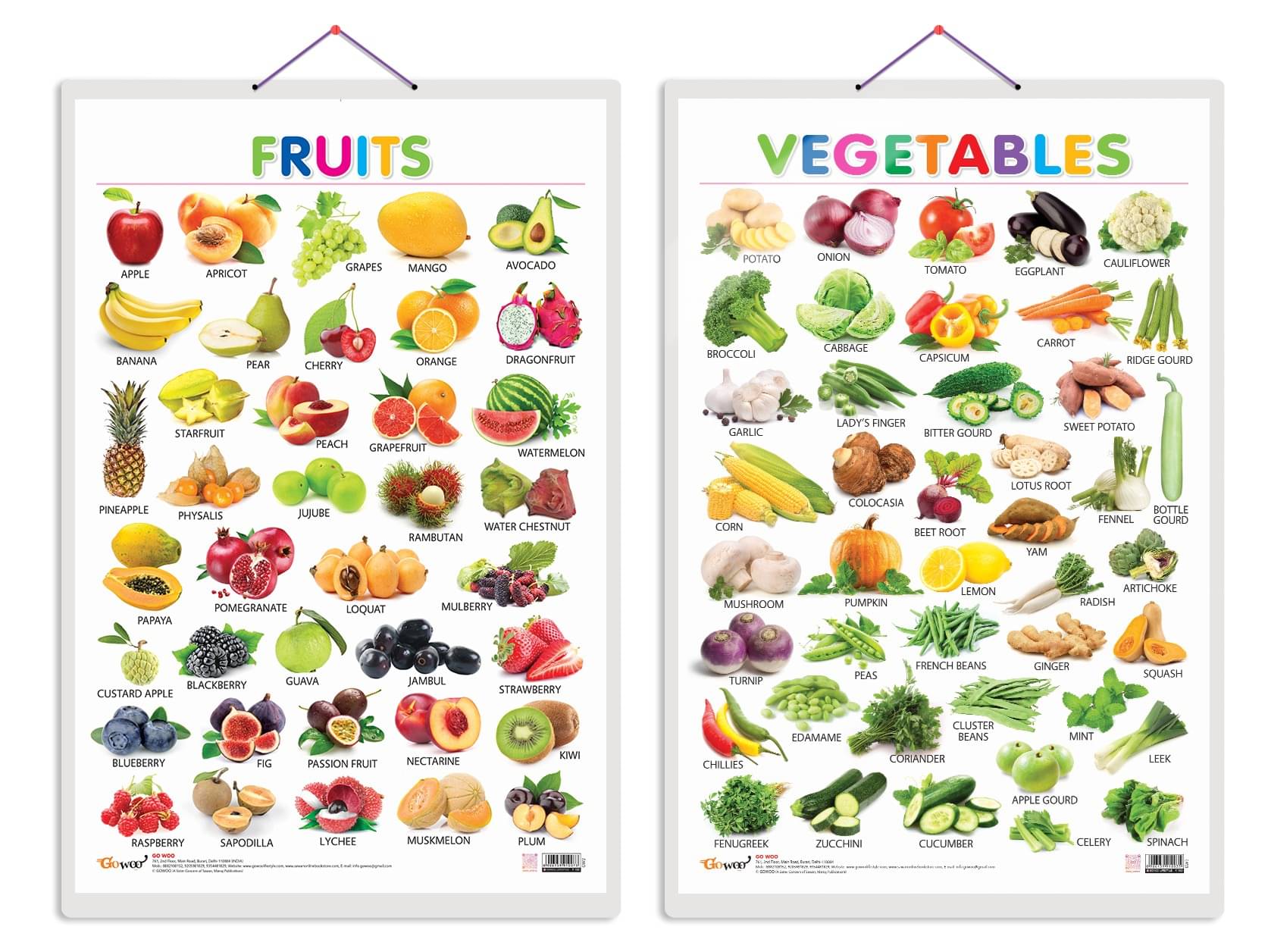 Set of 2 Fruits and Vegetables Early Learning Educational Charts for Kids | 20"X30" inch |Non-Tearable and Waterproof | Double Sided Laminated | Perfect for Homeschooling, Kindergarten and Nursery Students Set of 2 Fruits and Vegetables Early Learning Educational Charts for Kids | 20"X30" inch |Non-Tearable and Waterproof | Double Sided Laminated | Perfect for Homeschooling, Kindergarten and Nursery Students