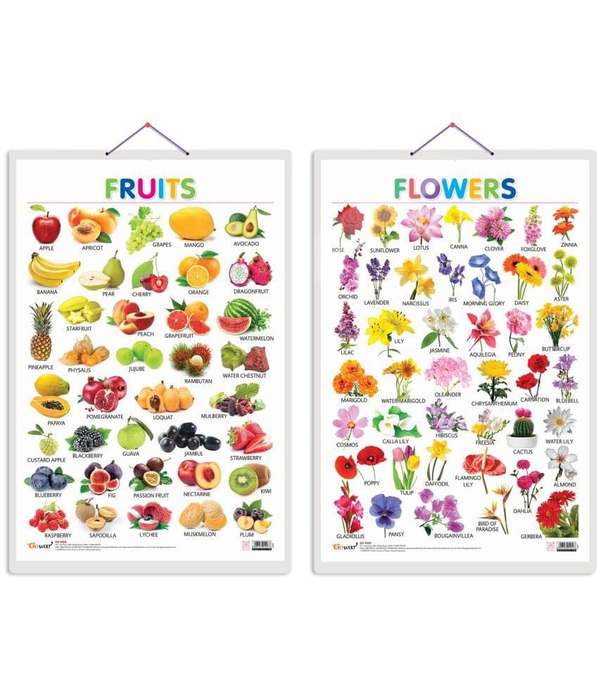 Set of 2 Fruits and Flowers Early Learning Educational Charts for Kids | 20"X30" inch |Non-Tearable and Waterproof | Double Sided Laminated | Perfect for Homeschooling, Kindergarten and Nursery Students Set of 2 Fruits and Flowers Early Learning Educational Charts for Kids | 20"X30" inch |Non-Tearable and Waterproof | Double Sided Laminated | Perfect for Homeschooling, Kindergarten and Nursery Students
