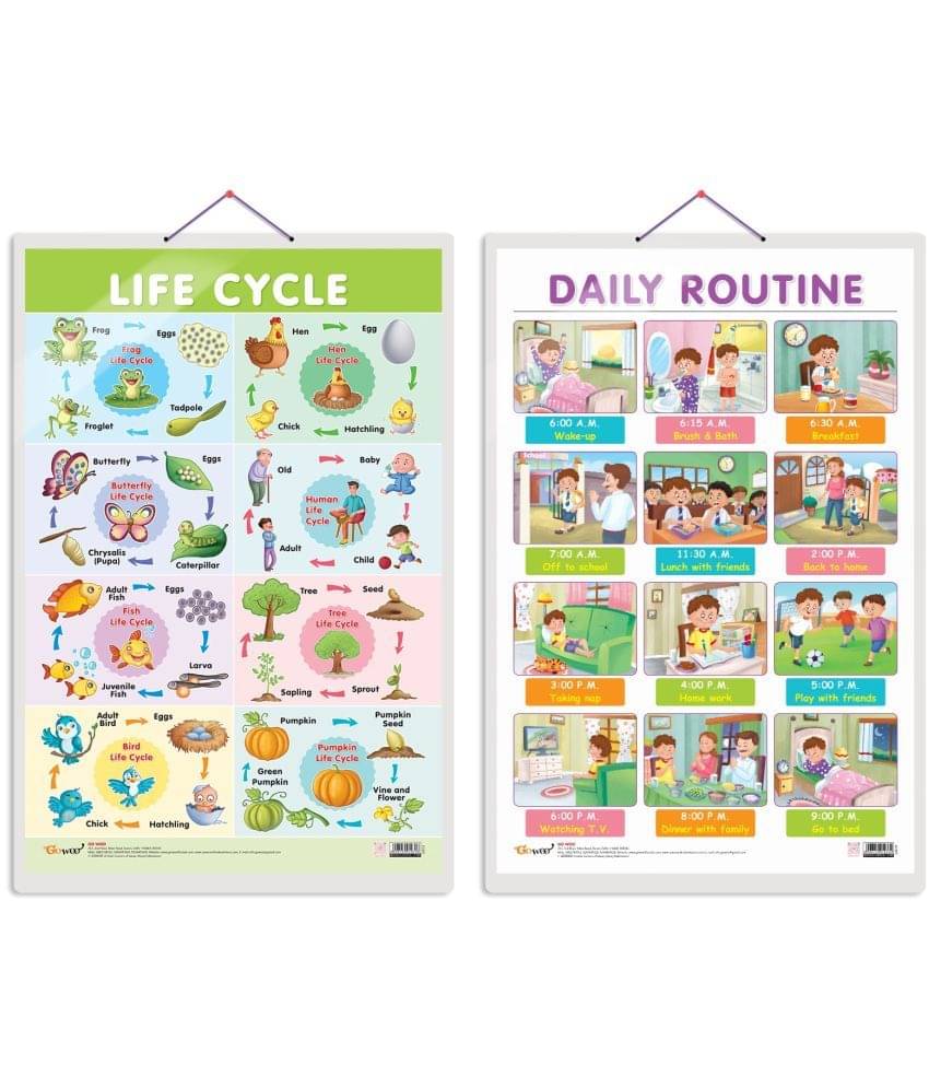 Set of 2 Life Cycle and DAILY ROUTINE Early Learning Educational Charts for Kids | 20"X30" inch |Non-Tearable and Waterproof | Double Sided Laminated | Perfect for Homeschooling, Kindergarten and Nursery Students Set of 2 Life Cycle and DAILY ROUTINE Early Learning Educational Charts for Kids | 20"X30" inch |Non-Tearable and Waterproof | Double Sided Laminated | Perfect for Homeschooling, Kindergarten and Nursery Students