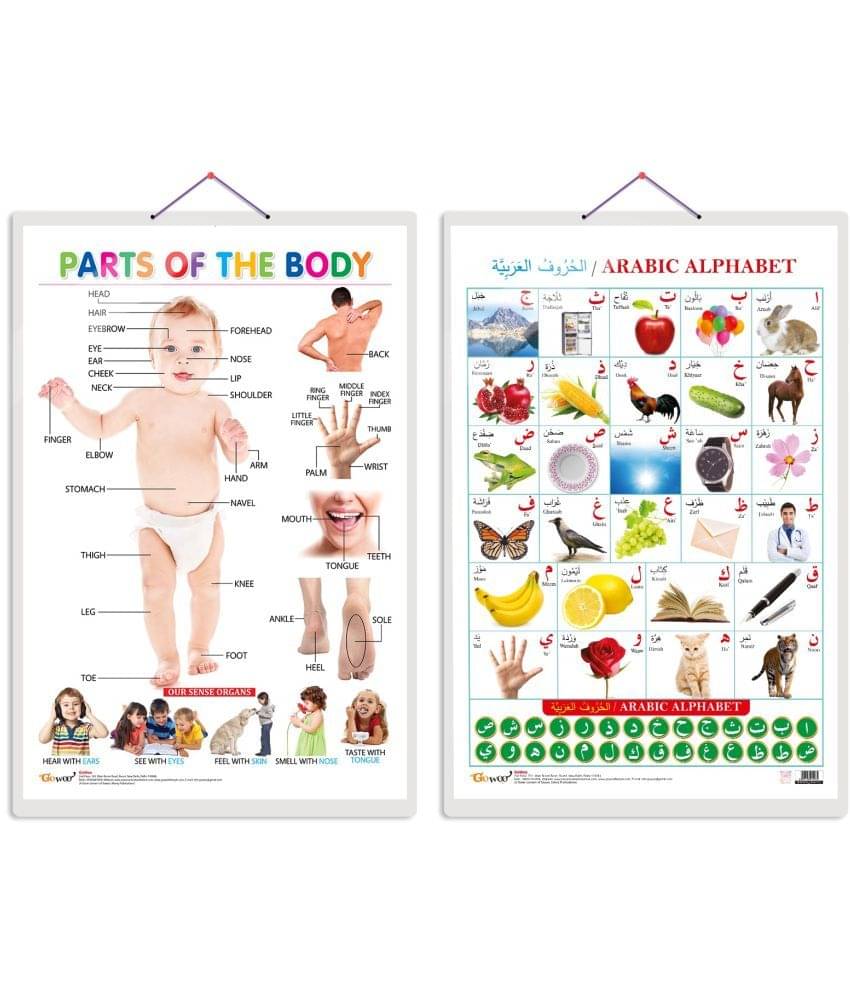 Set of 2 Parts of the Body and Arabic Alphabet (Arabic) Early Learning Educational Charts for Kids | 20"X30" inch |Non-Tearable and Waterproof | Double Sided Laminated | Perfect for Homeschooling, Kindergarten and Nursery Students Set of 2 Parts of the Body and Arabic Alphabet (Arabic) Early Learning Educational Charts for Kids | 20"X30" inch |Non-Tearable and Waterproof | Double Sided Laminated | Perfect for Homeschooling, Kindergarten and Nursery Students
