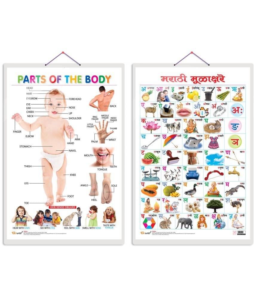 Set of 2 Parts of the Body and Marathi Varnamala (Marathi) Early Learning Educational Charts for Kids | 20"X30" inch |Non-Tearable and Waterproof | Double Sided Laminated | Perfect for Homeschooling, Kindergarten and Nursery Students Set of 2 Parts of the Body and Marathi Varnamala (Marathi) Early Learning Educational Charts for Kids | 20"X30" inch |Non-Tearable and Waterproof | Double Sided Laminated | Perfect for Homeschooling, Kindergarten and Nursery Students