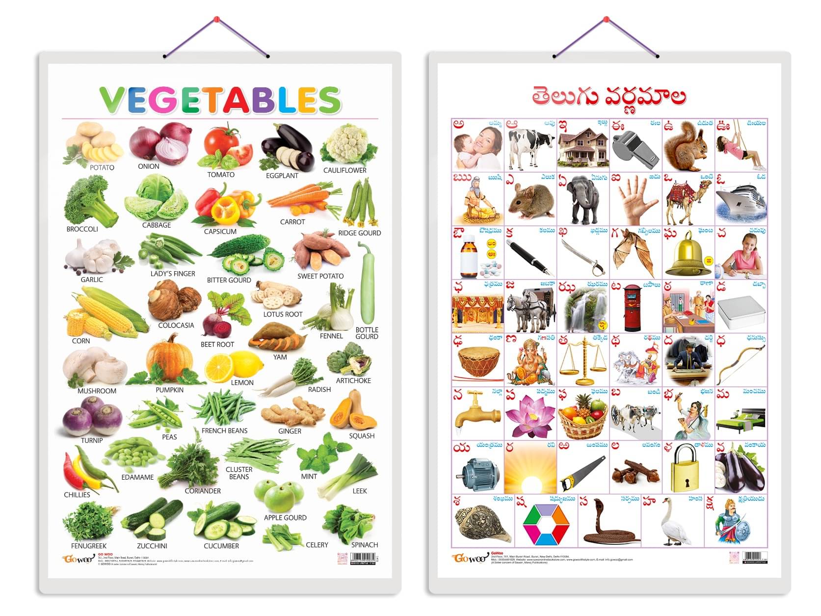 Set of 2 Vegetables and Telugu Alphabet (Telugu) Early Learning Educational Charts for Kids | 20"X30" inch |Non-Tearable and Waterproof | Double Sided Laminated | Perfect for Homeschooling, Kindergarten and Nursery Students Set of 2 Vegetables and Telugu Alphabet (Telugu) Early Learning Educational Charts for Kids | 20"X30" inch |Non-Tearable and Waterproof | Double Sided Laminated | Perfect for Homeschooling, Kindergarten and Nursery Students