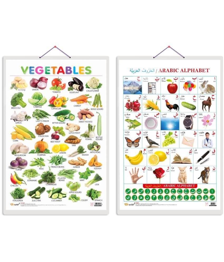 Set of 2 Vegetables and Arabic Alphabet (Arabic) Early Learning Educational Charts for Kids | 20"X30" inch |Non-Tearable and Waterproof | Double Sided Laminated | Perfect for Homeschooling, Kindergarten and Nursery Students Set of 2 Vegetables and Arabic Alphabet (Arabic) Early Learning Educational Charts for Kids | 20"X30" inch |Non-Tearable and Waterproof | Double Sided Laminated | Perfect for Homeschooling, Kindergarten and Nursery Students