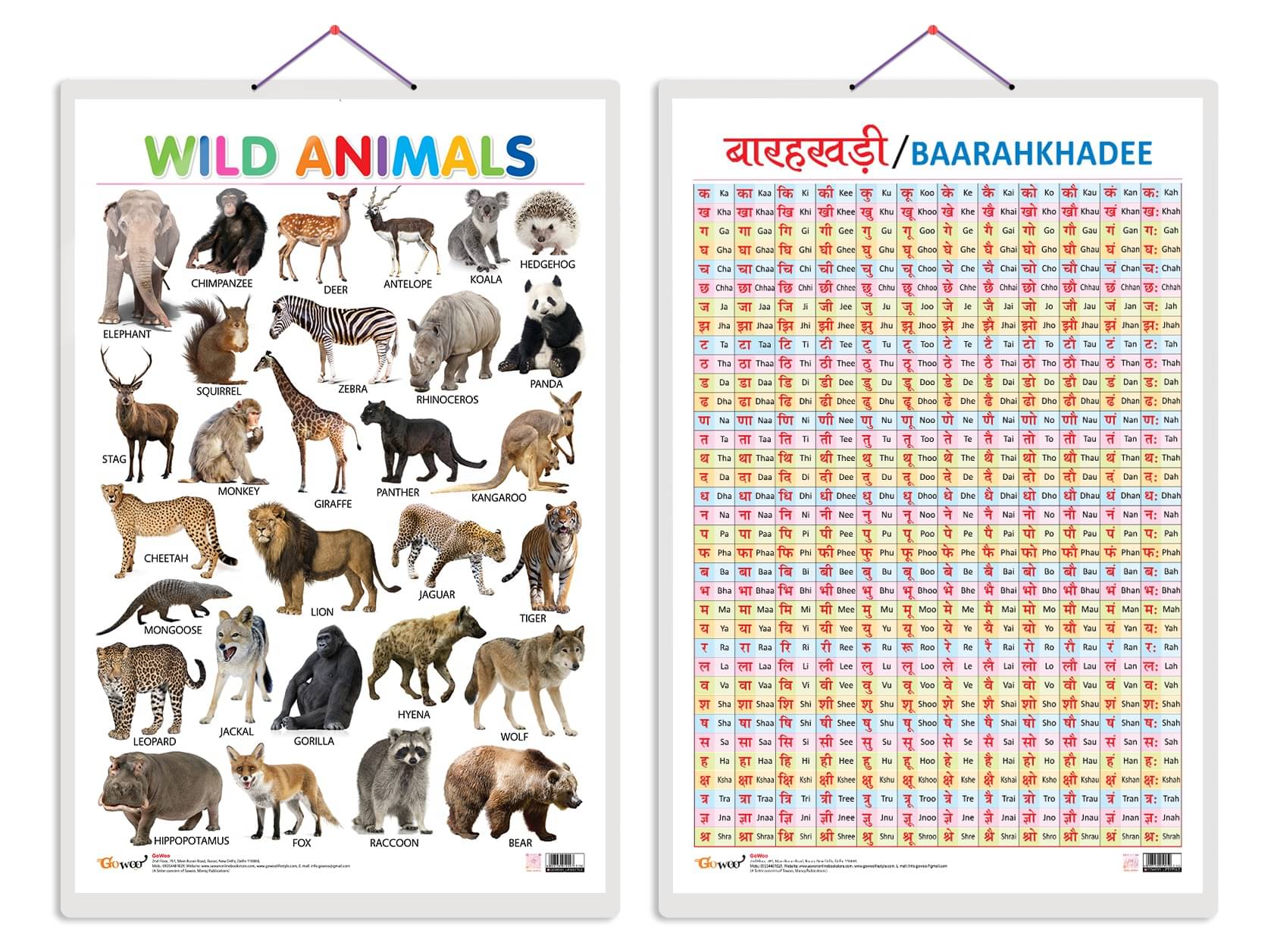     			Set of 2 Wild Animals and Baarahkhadee Early Learning Educational Charts for Kids | 20"X30" inch |Non-Tearable and Waterproof | Double Sided Laminated | Perfect for Homeschooling, Kindergarten and Nursery Students