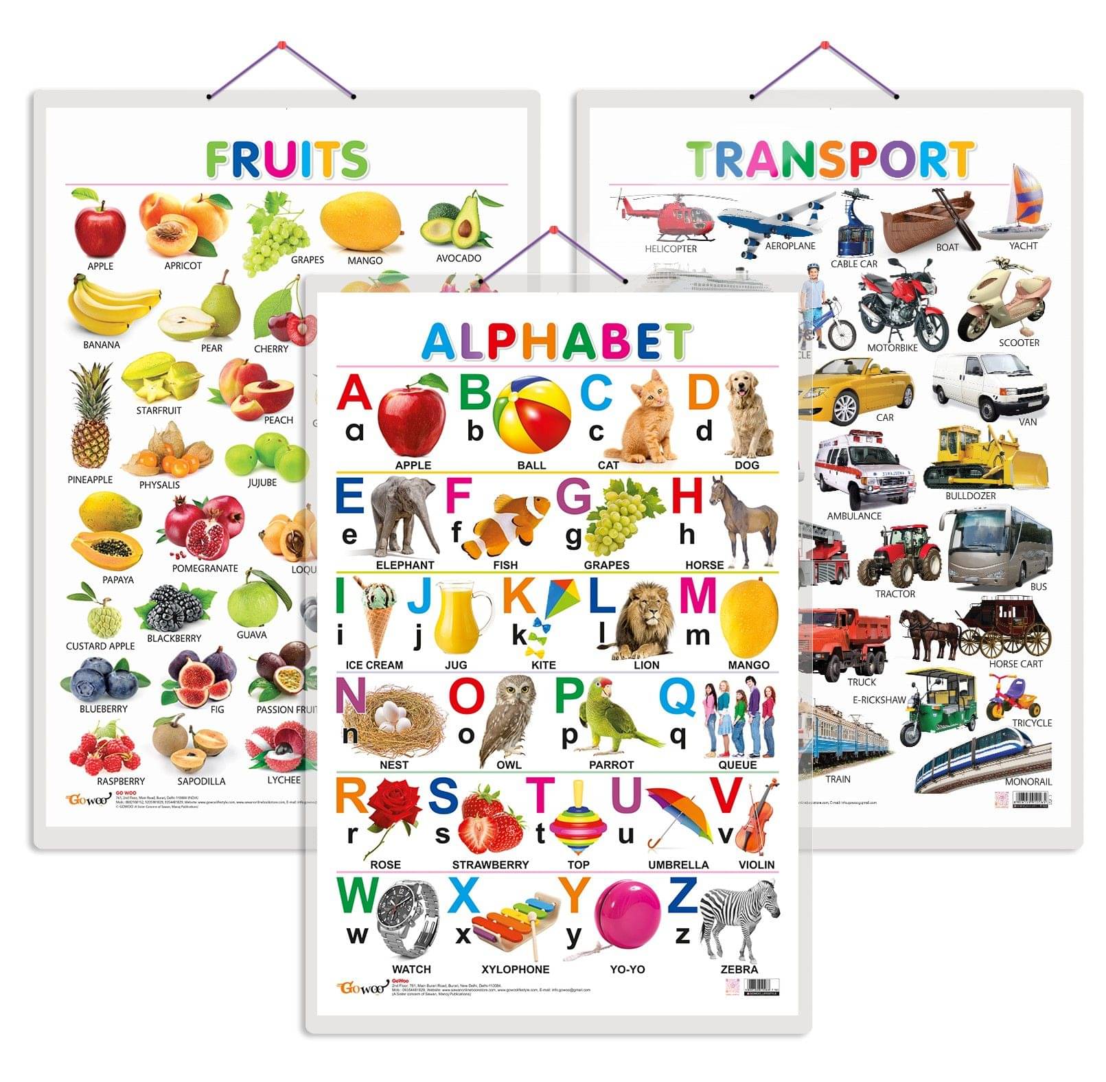 Set of 3 Alphabet, Fruits and Transport Early Learning Educational Charts for Kids | 20"X30" inch |Non-Tearable and Waterproof | Double Sided Laminated | Perfect for Homeschooling, Kindergarten and Nursery Students Set of 3 Alphabet, Fruits and Transport Early Learning Educational Charts for Kids | 20"X30" inch |Non-Tearable and Waterproof | Double Sided Laminated | Perfect for Homeschooling, Kindergarten and Nursery Students