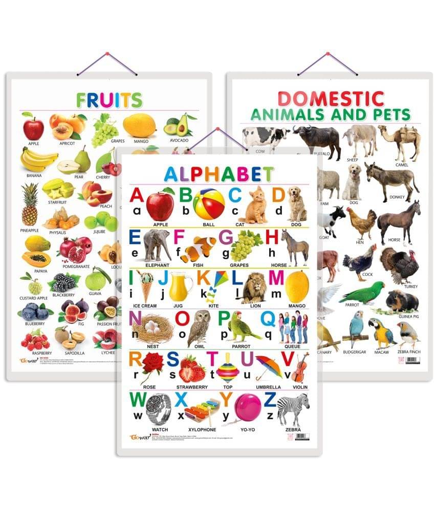 Set of 3 Alphabet, Fruits and Domestic Animals and Pets Early Learning Educational Charts for Kids | 20"X30" inch |Non-Tearable and Waterproof | Double Sided Laminated | Perfect for Homeschooling, Kindergarten and Nursery Students Set of 3 Alphabet, Fruits and Domestic Animals and Pets Early Learning Educational Charts for Kids | 20"X30" inch |Non-Tearable and Waterproof | Double Sided Laminated | Perfect for Homeschooling, Kindergarten and Nursery Students