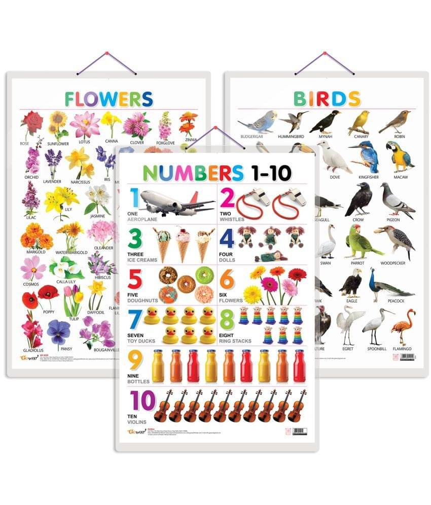     			Set of 3 Birds, Flowers and Numbers 1-10 Early Learning Educational Charts for Kids | 20"X30" inch |Non-Tearable and Waterproof | Double Sided Laminated | Perfect for Homeschooling, Kindergarten and Nursery Students
