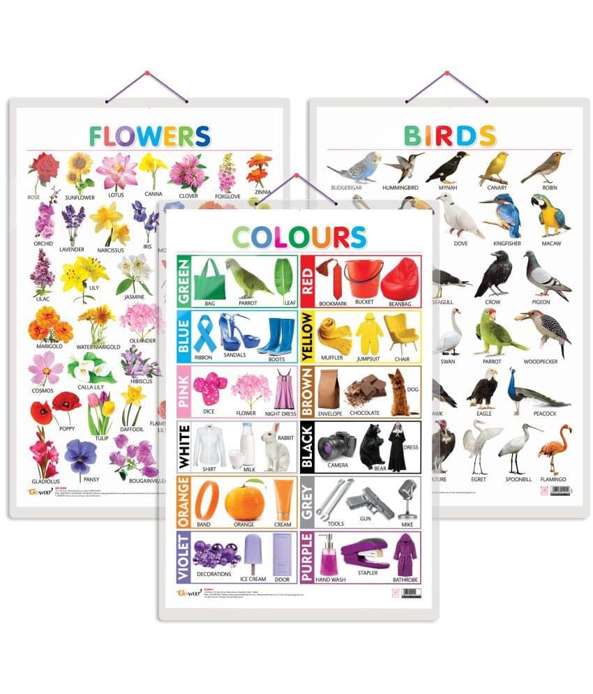 Set of 3 Birds, Flowers and Colours Early Learning Educational Charts for Kids | 20"X30" inch |Non-Tearable and Waterproof | Double Sided Laminated | Perfect for Homeschooling, Kindergarten and Nursery Students Set of 3 Birds, Flowers and Colours Early Learning Educational Charts for Kids | 20"X30" inch |Non-Tearable and Waterproof | Double Sided Laminated | Perfect for Homeschooling, Kindergarten and Nursery Students