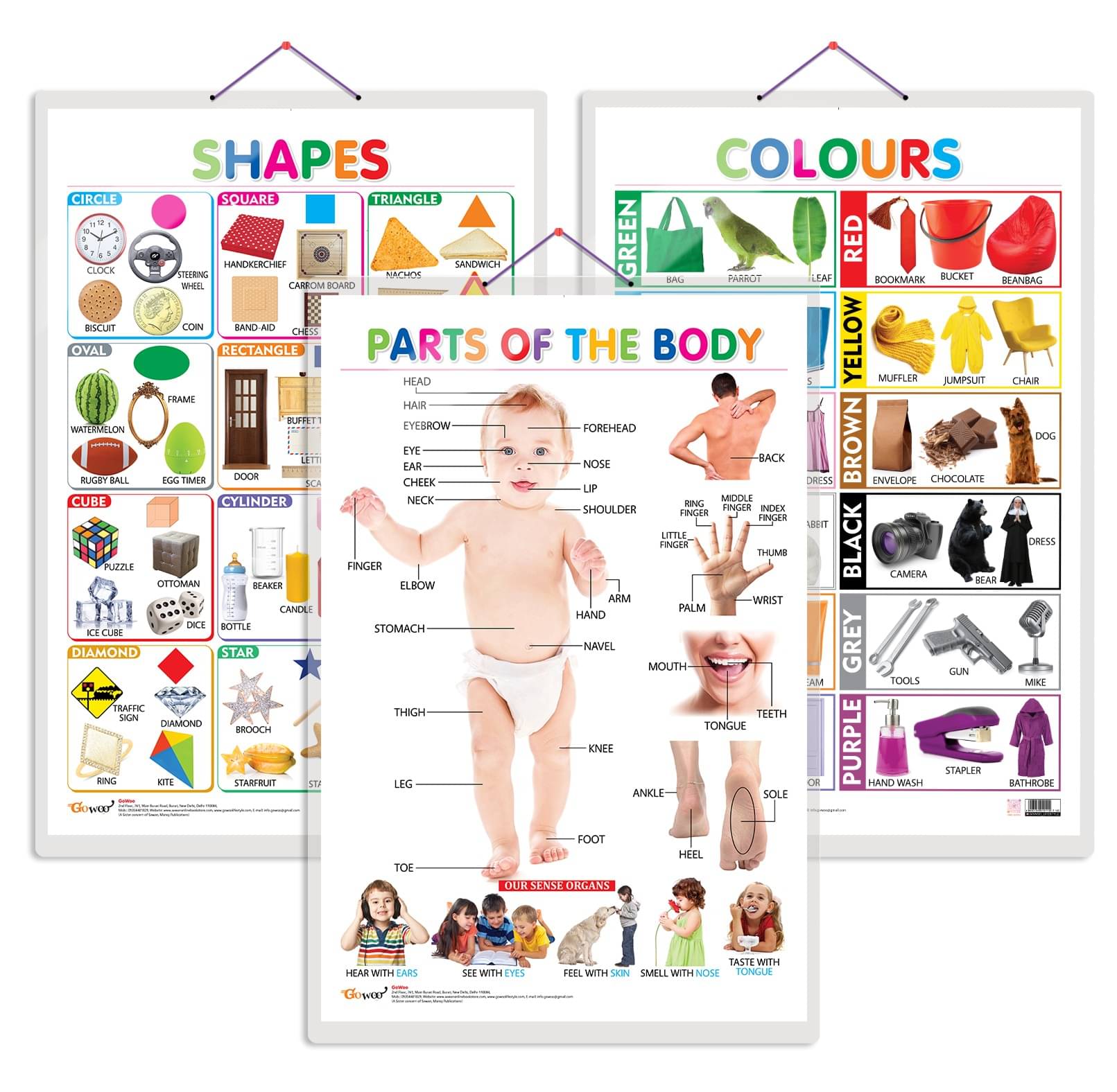 Set of 3 Colours, Shapes and Parts of the Body Early Learning Educational Charts for Kids | 20"X30" inch |Non-Tearable and Waterproof | Double Sided Laminated | Perfect for Homeschooling, Kindergarten and Nursery Students Set of 3 Colours, Shapes and Parts of the Body Early Learning Educational Charts for Kids | 20"X30" inch |Non-Tearable and Waterproof | Double Sided Laminated | Perfect for Homeschooling, Kindergarten and Nursery Students