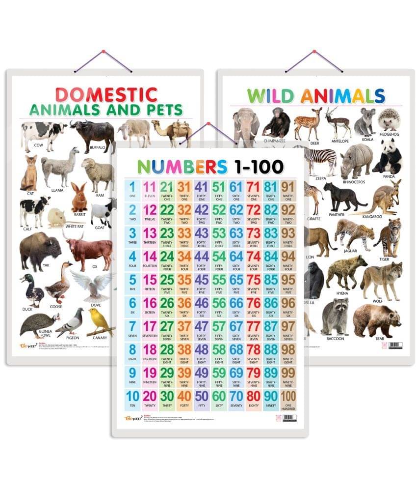 Set of 3 Domestic Animals and Pets, Wild Animals and Numbers 1-100 Early Learning Educational Charts for Kids | 20"X30" inch |Non-Tearable and Waterproof | Double Sided Laminated | Perfect for Homeschooling, Kindergarten and Nursery Students Set of 3 Domestic Animals and Pets, Wild Animals and Numbers 1-100 Early Learning Educational Charts for Kids | 20"X30" inch |Non-Tearable and Waterproof | Double Sided Laminated | Perfect for Homeschooling, Kindergarten and Nursery Students