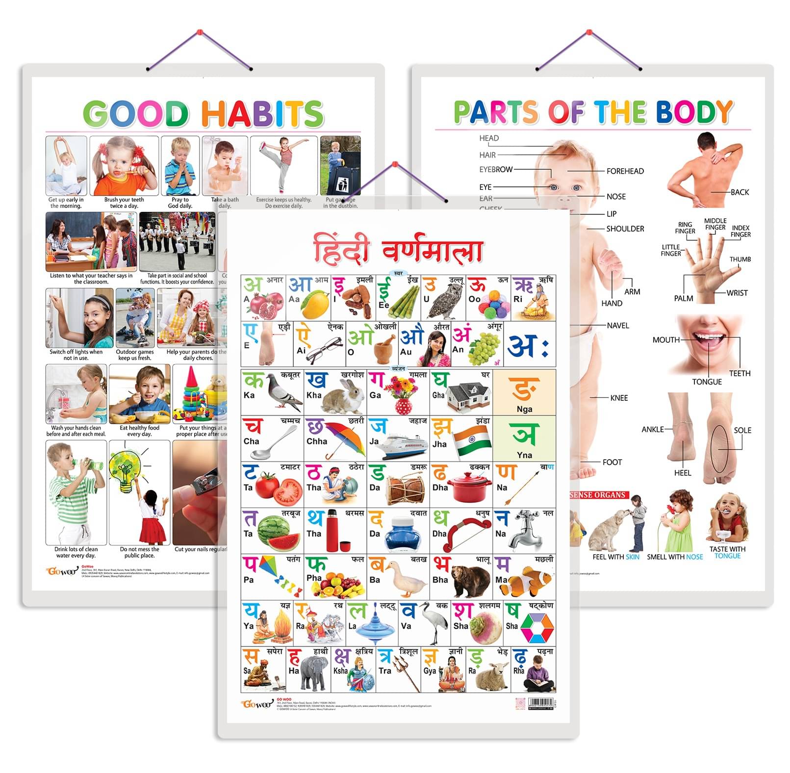 Set of 3 Parts of the Body, Good Habits and Hindi Varnamala Early Learning Educational Charts for Kids | 20"X30" inch |Non-Tearable and Waterproof | Double Sided Laminated | Perfect for Homeschooling, Kindergarten and Nursery Students Set of 3 Parts of the Body, Good Habits and Hindi Varnamala Early Learning Educational Charts for Kids | 20"X30" inch |Non-Tearable and Waterproof | Double Sided Laminated | Perfect for Homeschooling, Kindergarten and Nursery Students